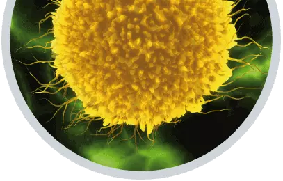 Vivocell - Nabelschnurblut spenden & Stammzellen einlagern